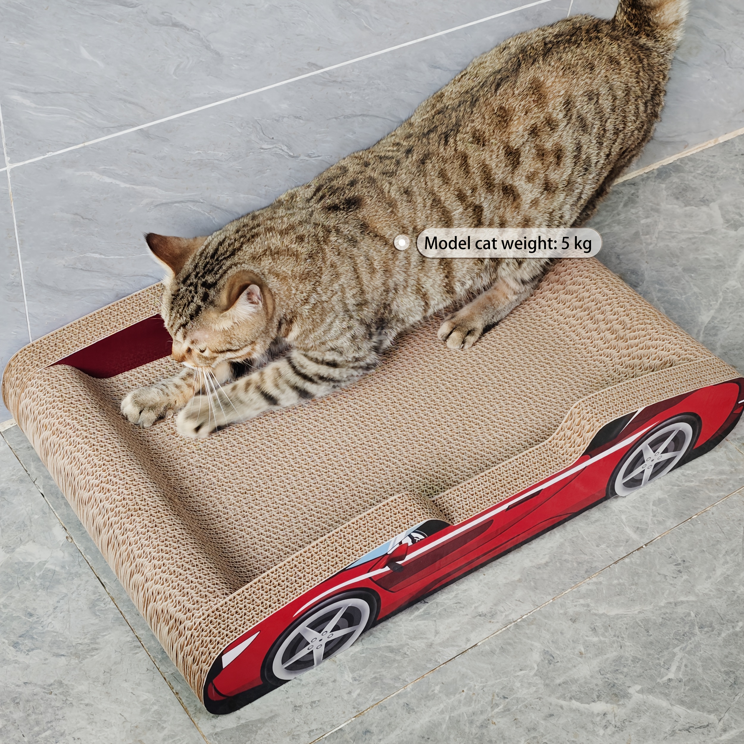 katzenspielzeug gegen langeweile CatFun Interaktives Katzenspielzeug zur Langeweilebekmpfung  Spa und  Stressabbau fr deine Katze  Fellnasenstube