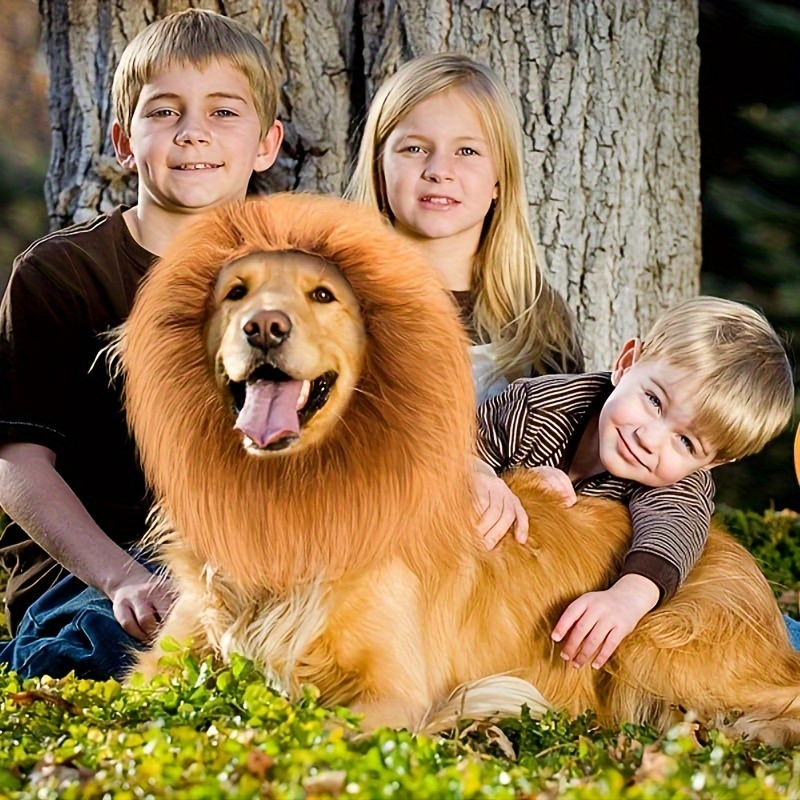 festive accessory realistic lion mane dog wig brown fluffy - Main Image