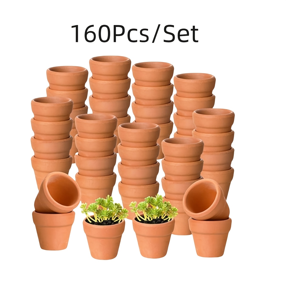 E-shop 160/100/80/50/30 Stück Kleine Mini 1.3" Terrakottentopf Ton Topf Pflanzgefäß, Kaktus Blumen Zucht Terra Cotta Töpfe, mit Drainageloch, für
