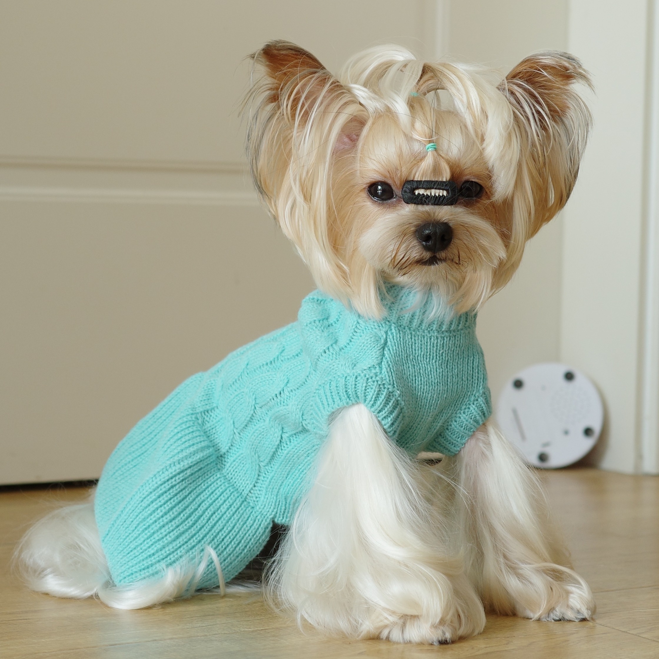 Dog Clothes Extra Large Sweater SussexHome Pets XL Dog Hoodie For