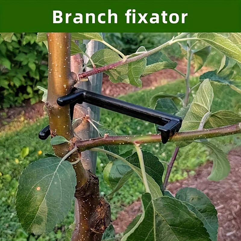 

10pcs Black Plastic Branch Fixators - Adjustable Fruit Tree Support Clips For Branch Bending & Shaping, Ideal For Gardeners