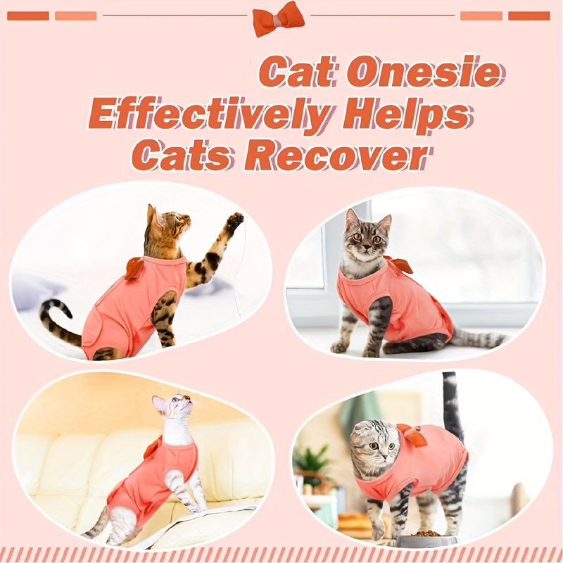post surgery cat recovery suit opening e Temu Canada