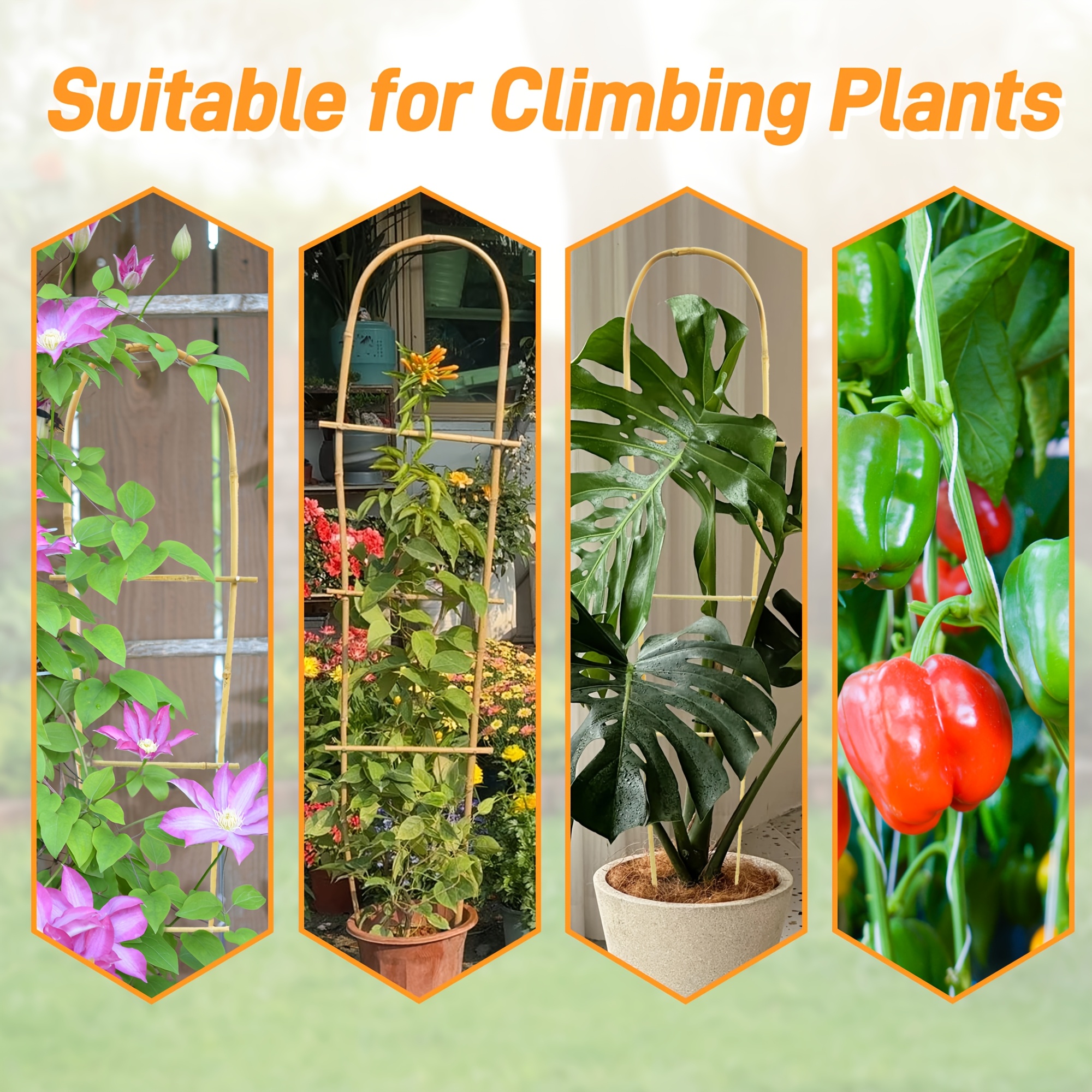 Bamboo U Trellis for Climbing Plants
