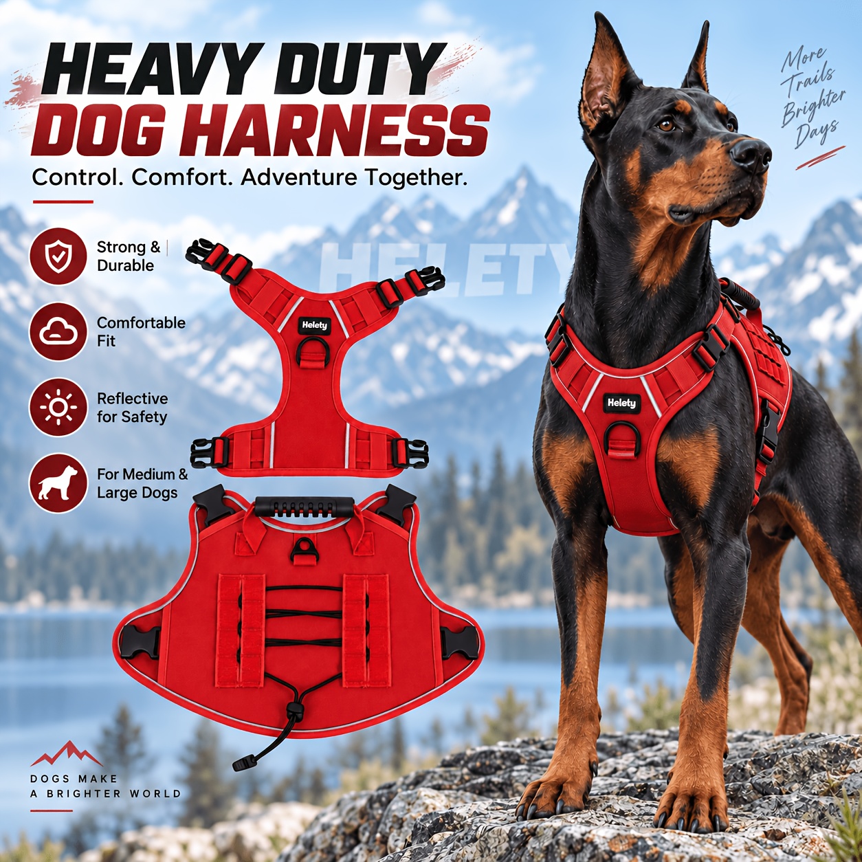 hunting dog accessories sold on Temu United States