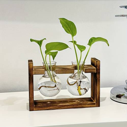 combinazione multi-tubo con cabina in legno e tubo a in materiale per animali domestici per la propagazione di piante, con aggiunte multi- , decorazioni creative per soggiorno, ufficio, scrivania e casa