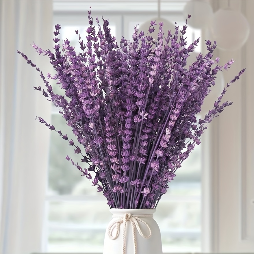 

Bouquet de lavande séchée 100% naturelle - Plus de 50 tiges de fleurs pourpres avec un parfum pour la décoration de vase à la maison, les mariages, l'aromathérapie et l'artisanat