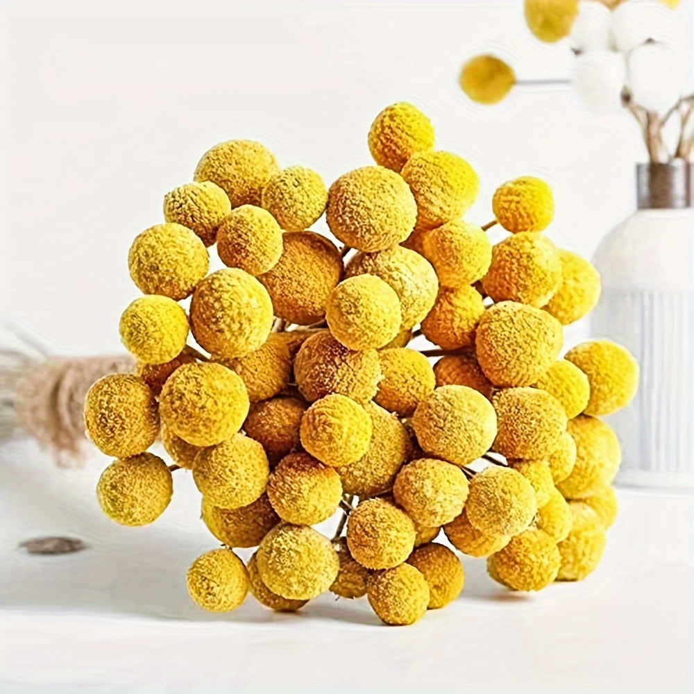 

10/20/30pcs Dried Flowers Yellow Billy Buttons Balls Bouquet Dried Flowers Large Diameter Approximate1-1/2inch For Home Decor Photo Props Diy Wedding Decoration