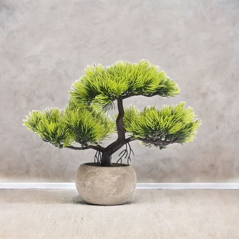 lärche bonsai umtopfen Workshop Bonsai umtopfen main image 1