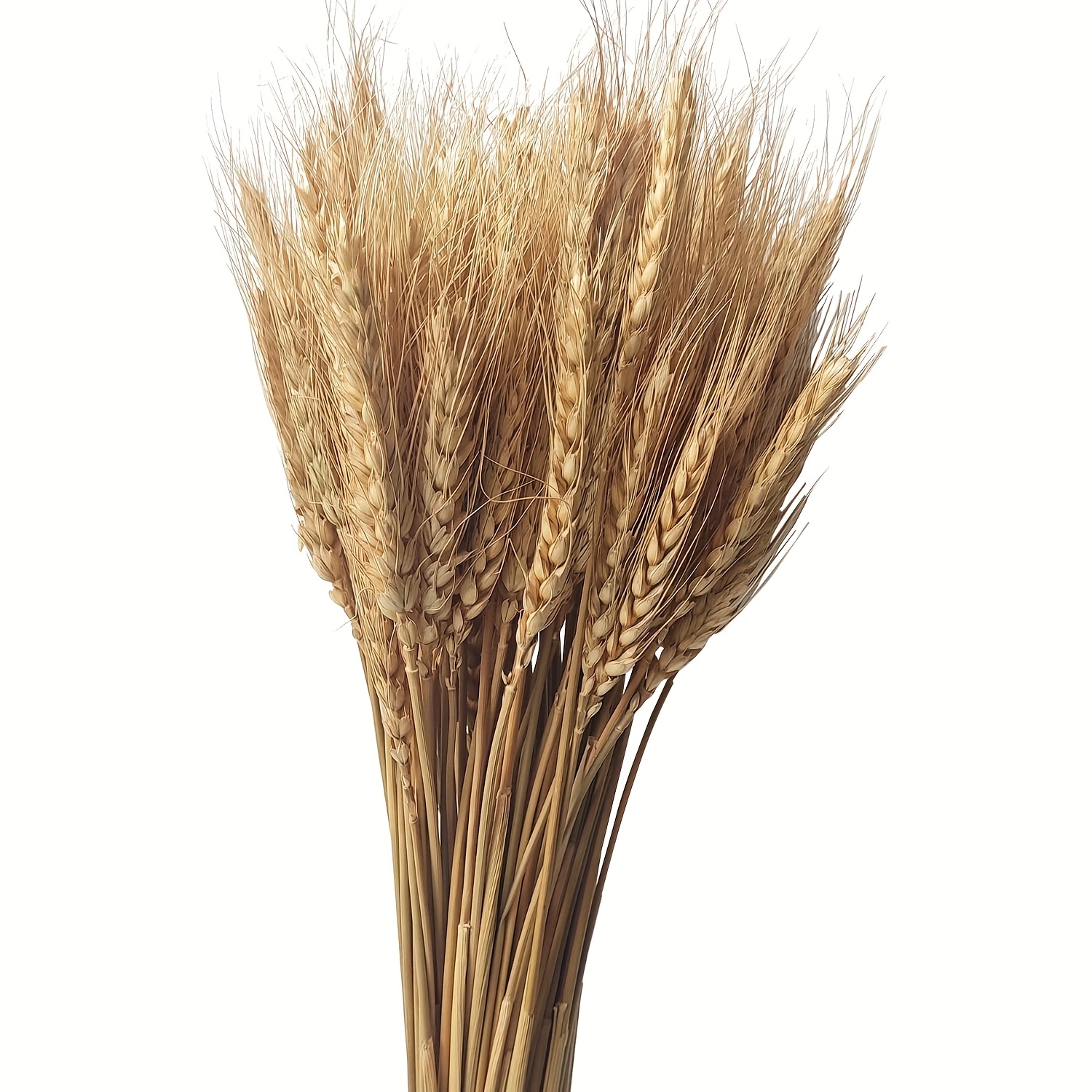 E-shop 155-teiliges großes Gras-Hochzeitsstrauß mit Bunny Tails, getrockneten Blumen & grünem Eukalyptus – Boho-Tischdekoration für Zuhause, Partys,