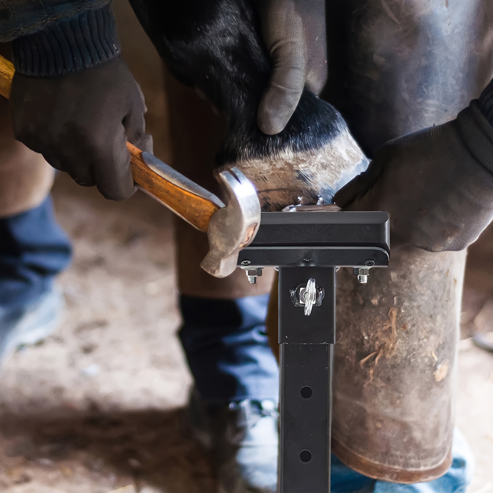 TEMU Zonon Metal Adjustable Farrier Stand Blacksmith Farrier Horse Hoof Stand Height Farrier Stand For Horses Hoof Trimming Tools