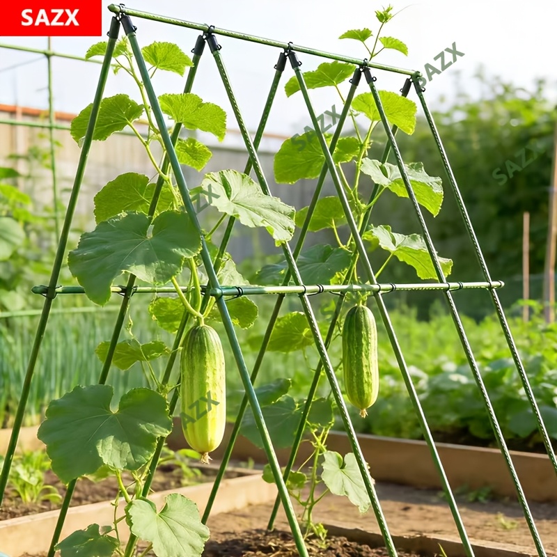 tomato plants support - United Kingdom