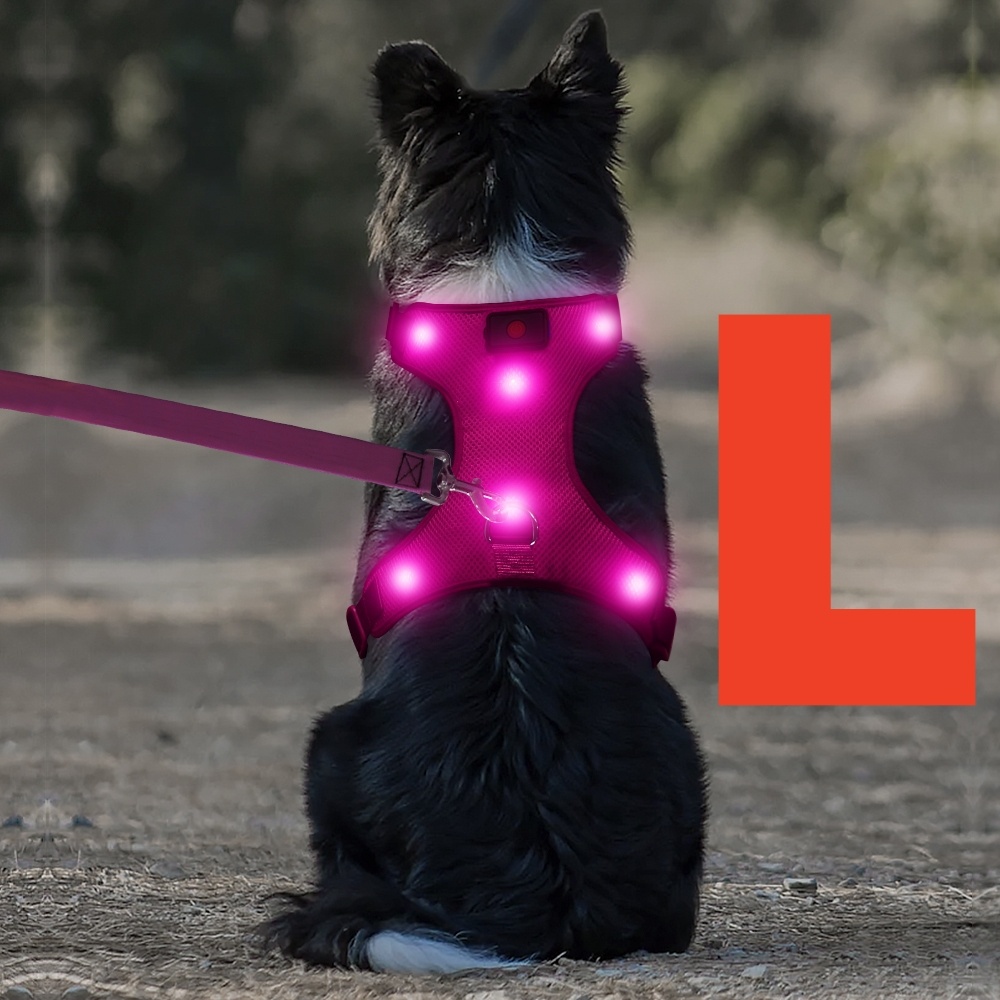 TEMU Harnais LED Lumineux pour Chien - Harnais -Tirage avec Batterie Amovible - Gilet LED Rechargeable et Lavable - Harnais Lumineux pour et Camping