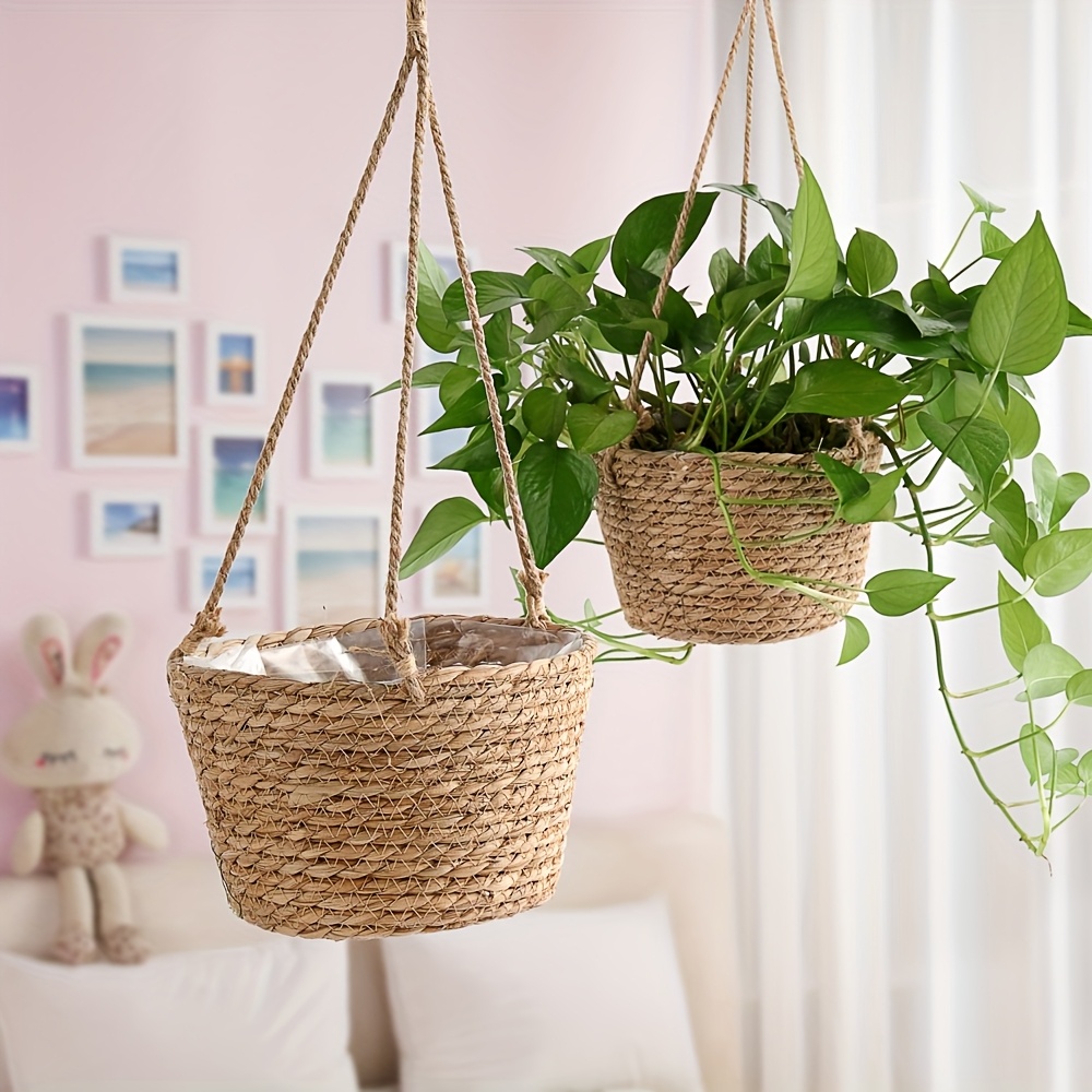 price of peace lily Buy Spathiphyllum Peace Lily