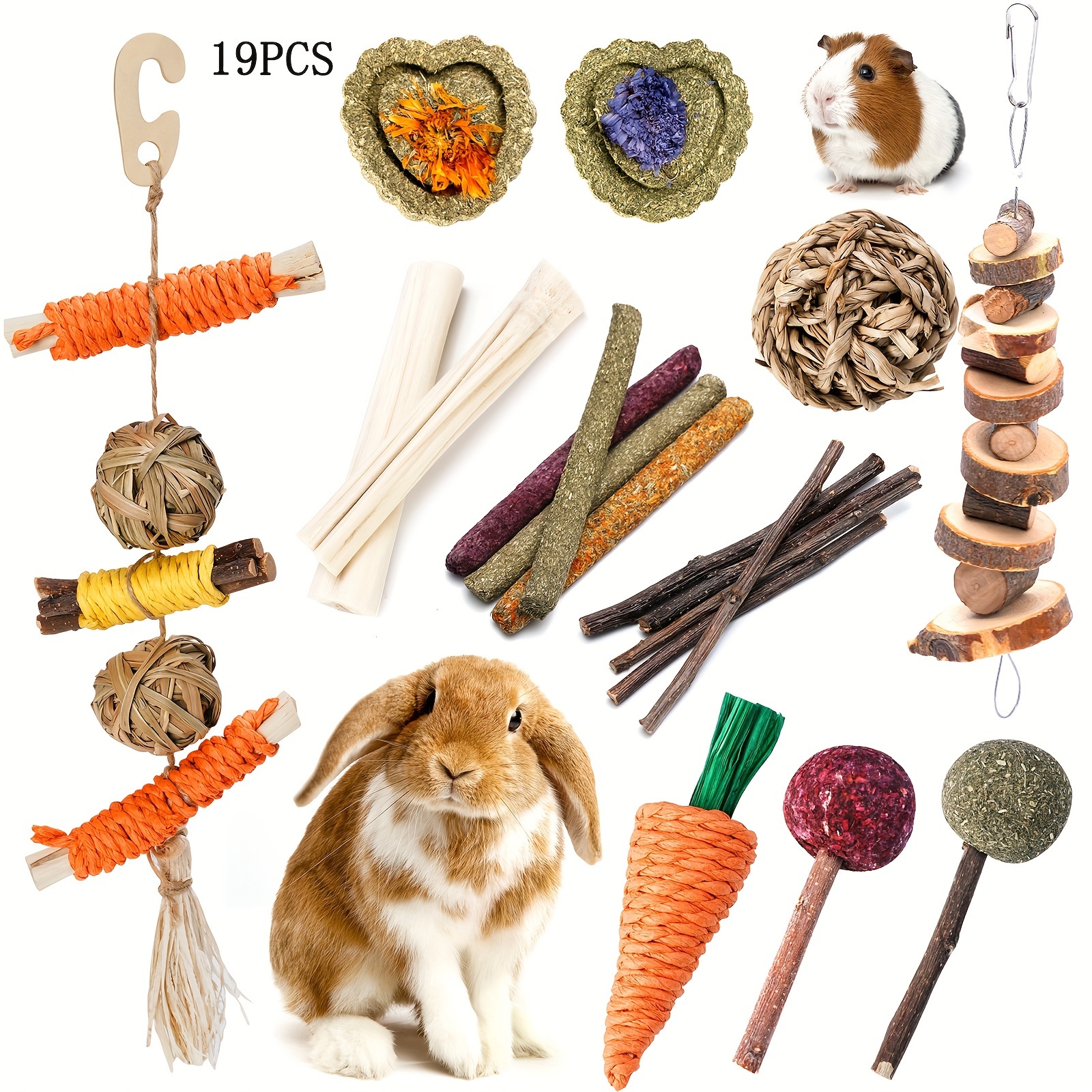 

19pcs Rabbit Chew Toys, Natural Wooden Pet Teething , Assorted Animal Bites Treats For Cage, Bunny & Hamster Accessories, Dental Health, With Hanging Wood Carrot & Corn Shapes