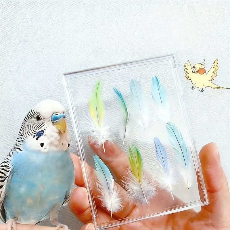 Pet Bird Feather Keepsake Display Box, High-Definition Transparent - Elegant Memorial Box to Preserve the Warmth of Your Pet. Suitable for Budgerigars, Cockatiels, Lovebirds, and Various Other Bird Feather Collections. A Durable Frame for Bird - Image 2