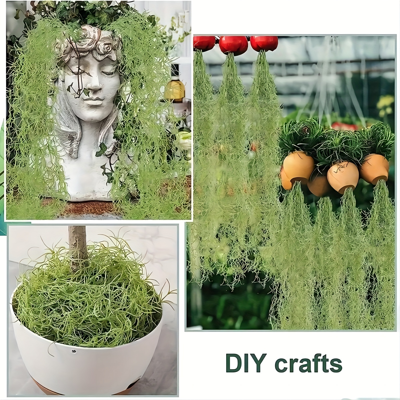 3pcs spanish moss potted plants christmas tree - Temu