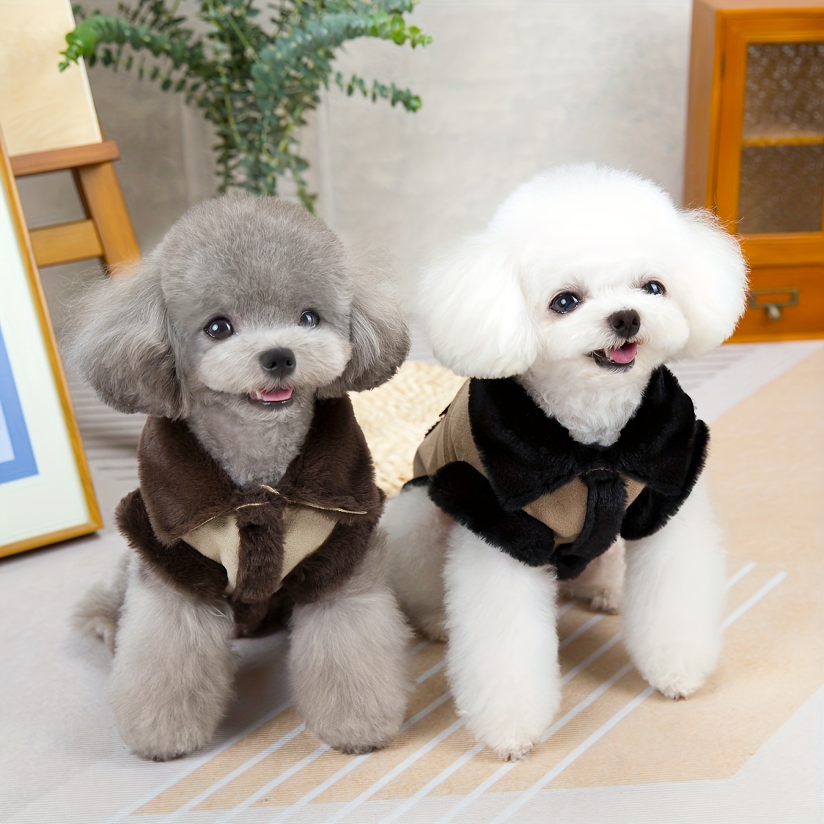 sachin and babi light blue dress Winter Clothes Coats For Women At Walmart Womens Winter Coats In Womens  Coats White main image 0