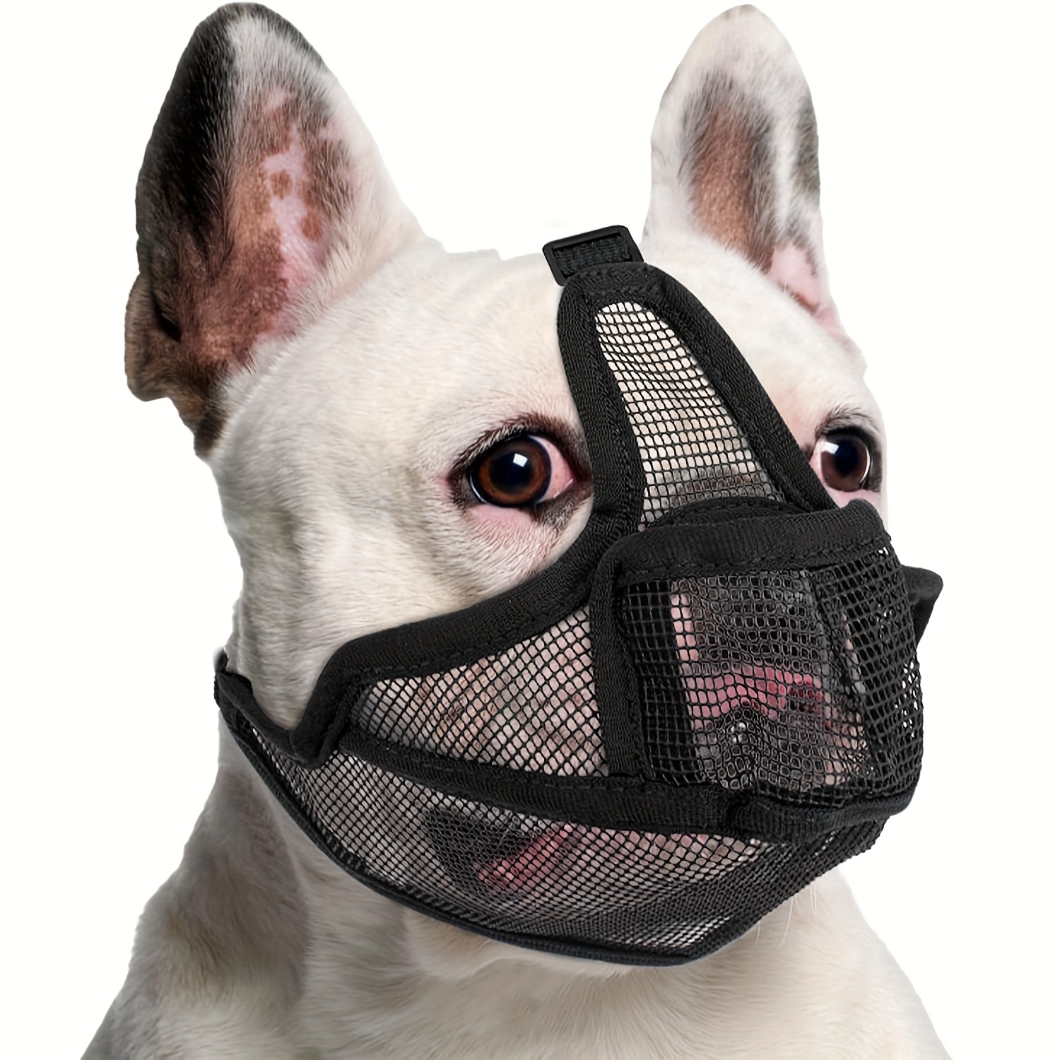 duck muzzle sold on Temu Canada