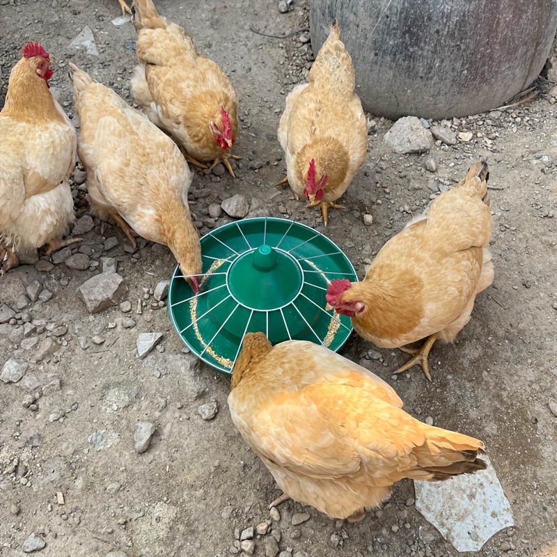 Es ist nicht einfach, die Eisenmaschenabdeckung der Futternapf fr Hhner,  Enten und Gnse umzudrehen, die fr die Ftterung von Hhnern und groen  Gnse verwendet wird, sowie die runden Futterschalen ...