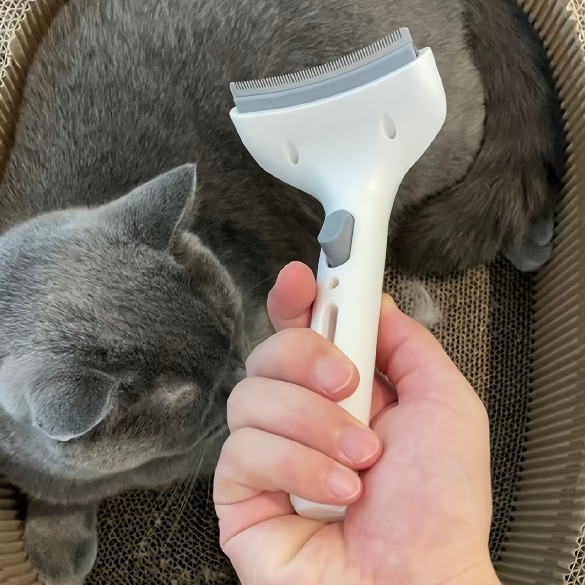 E-shop 1 Stück Entfilzungswerkzeug für Hunde – Breite gebogene Unterwollbürste für müheloses Entfilzen, Haarentferner für Hunde & Katzen