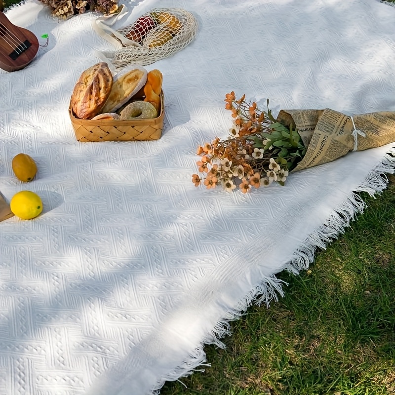 throw blanket fancy picnic blanket