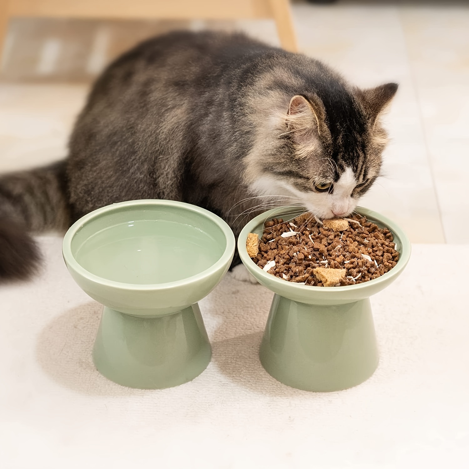 

2 Elevated Cat Bowl, Cat Bowls For And , Shallow Cat Dish, , & Free, Height