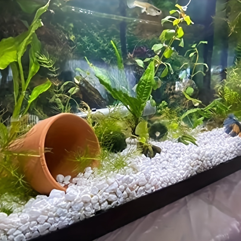 White gravel aquarium discount