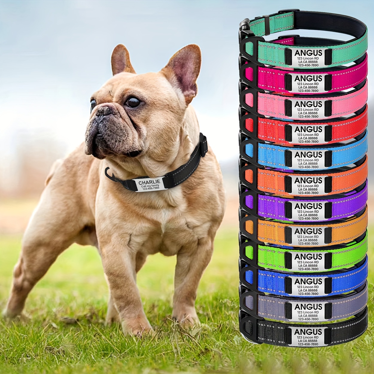 

Personalized Dog Collars For Medium Dogs, Custom Reflective Dog Collar With Name Plate, Padded Pet Collar With Engraved Slide On Id Tags