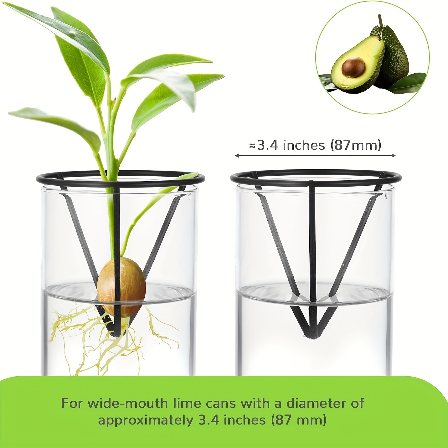 4pcs avocado seed starter vase holders used propagation kits - Temu