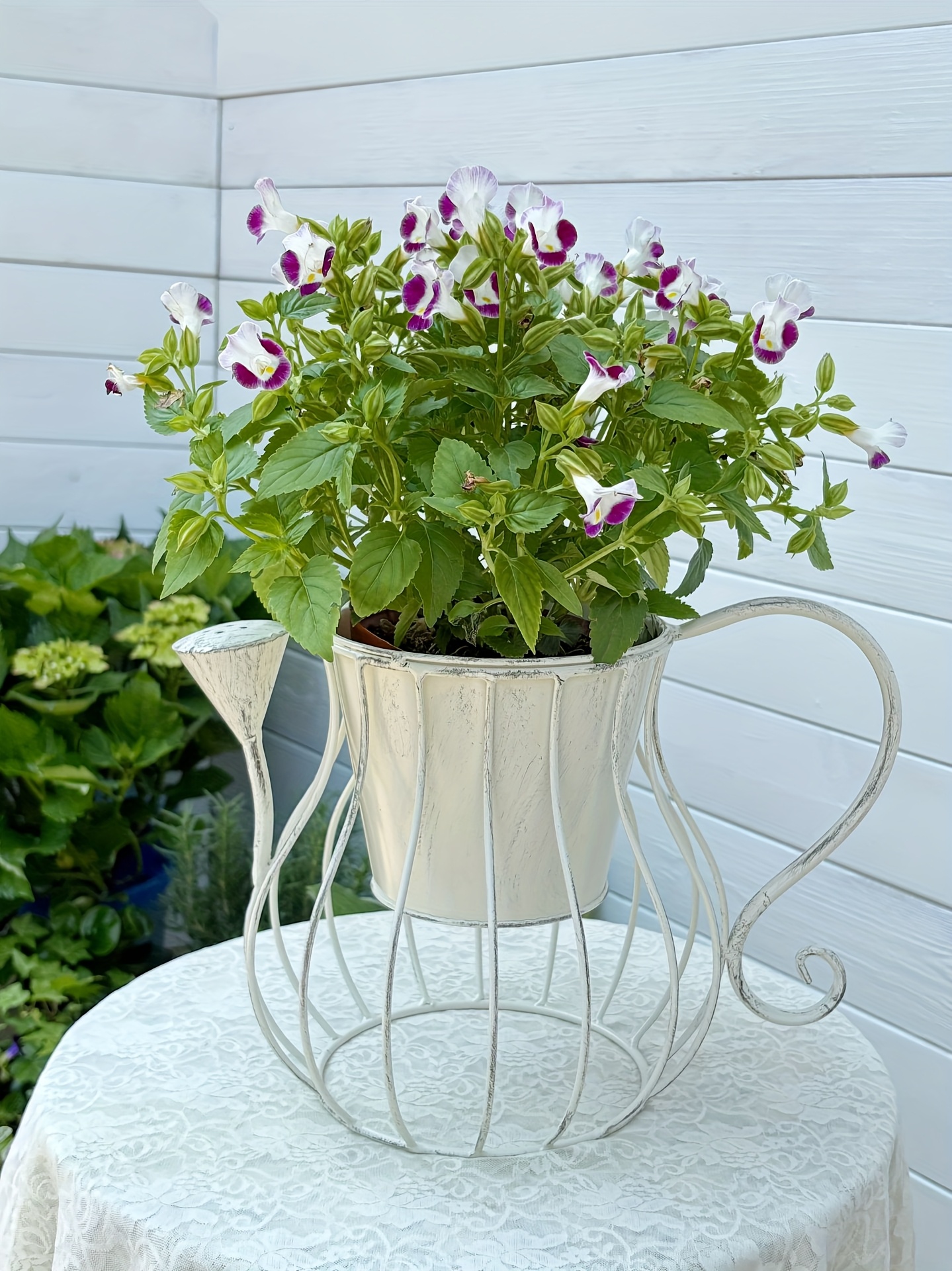 regadera hierro vintage nórdica minimalista circular - Temu Spain, image size:800x1067