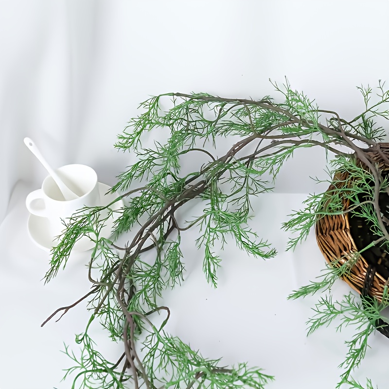 dracena deremensis warneckii Dracaena Warneckii | Air Purifying Easy Care Houseplants for Delivery