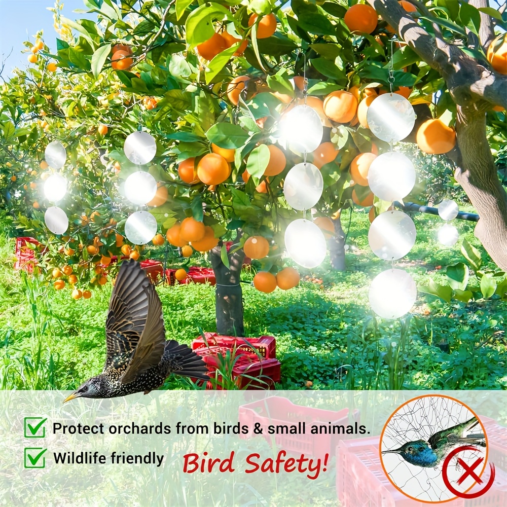 How to Keep Birds Away from Fruit Trees 
