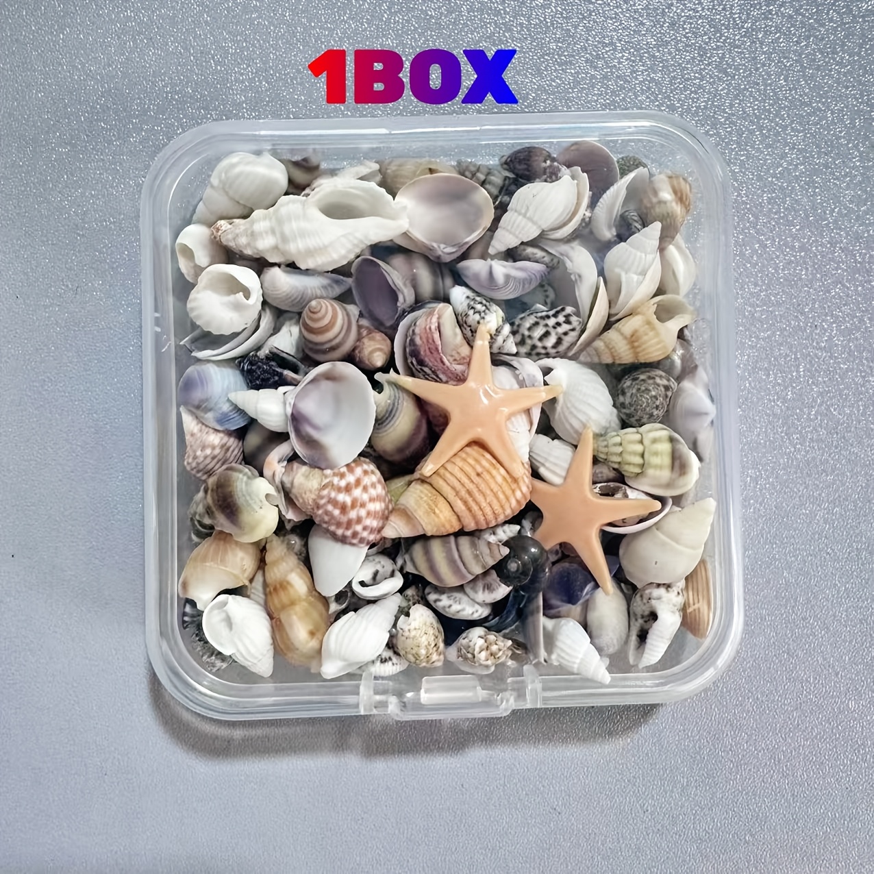 TEMU Boîte aléatoire de coquillages et de mer en résine mélangée, mini coquillages multicolores, idéaux pour décorations et ajouts de coquillages,