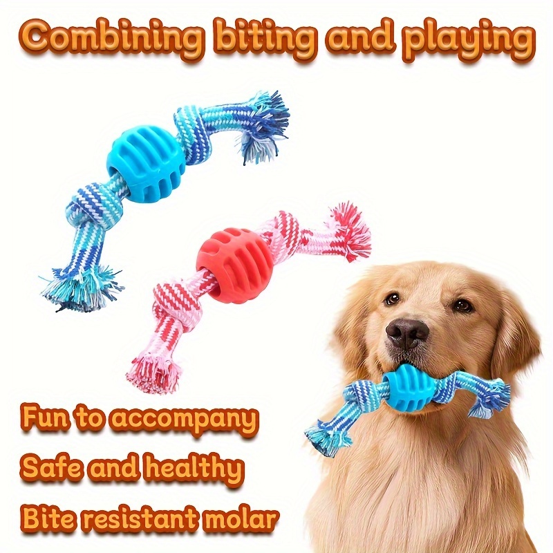 

Dog Toy - And Toy - Safe Plastic - Suitable Breeds