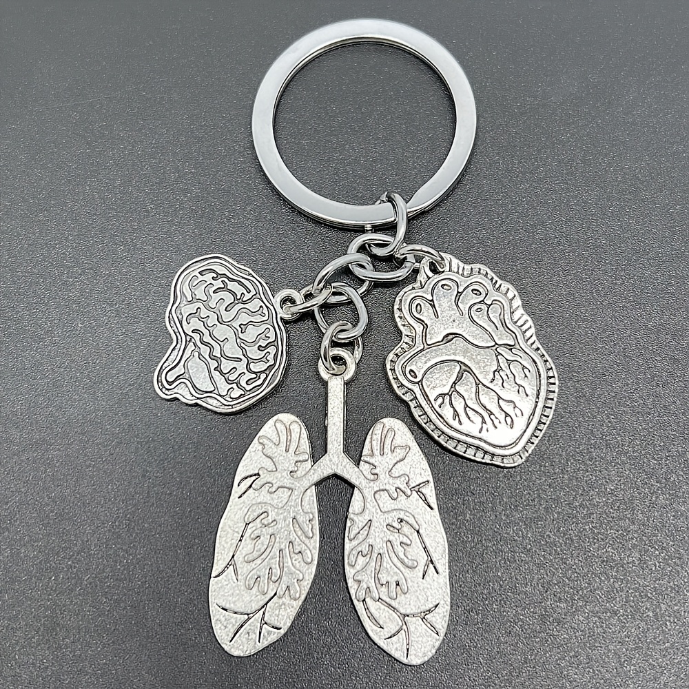 

Fashionable Iron Alloy Human Anatomy Keychain Set - Heart, Brain, Lung Charms - Creative Medical Student Gifts, Unisex Medical Accessories