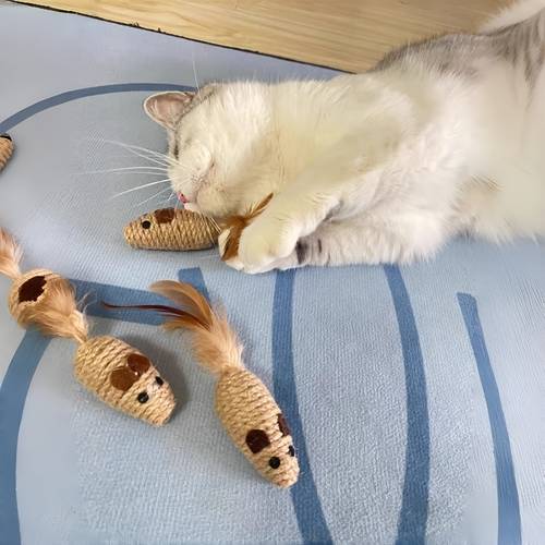 2pcs sisal cat toys interactive scratching and play toys for kittens with artificial feather battery free suitable for all breed sizes