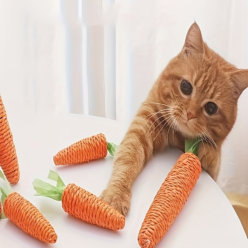 

Jouet pour Chat avec Son, Bâton de , Autodivertissement, Soulagement de l'Ennui, Bâton de Meulage pour Chatons, Planche à Gratter Résistante aux Morsures, Fournitures pour Animaux de Compagnie