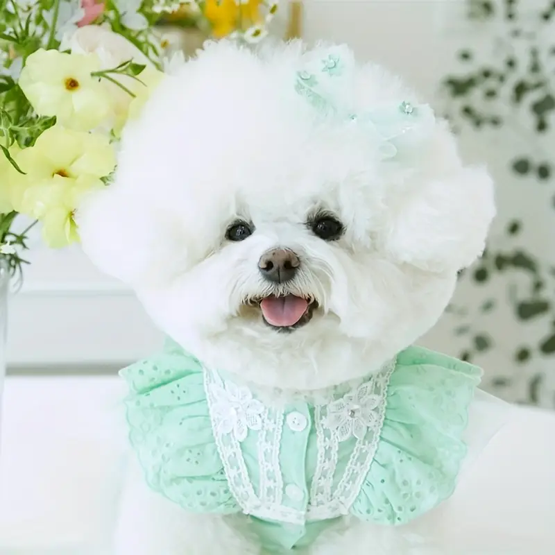 mint green dog dress Dog Dress, Dog Christmas Dress, Cat Dress, Dog Wedding Dress, Dog Dresses for Small Dogs Girl, Girl Puppy Princess Tutu Dress with Leash Ring, Fashion Pet Dog Clothes for Birthday Wedding(M-Green) -