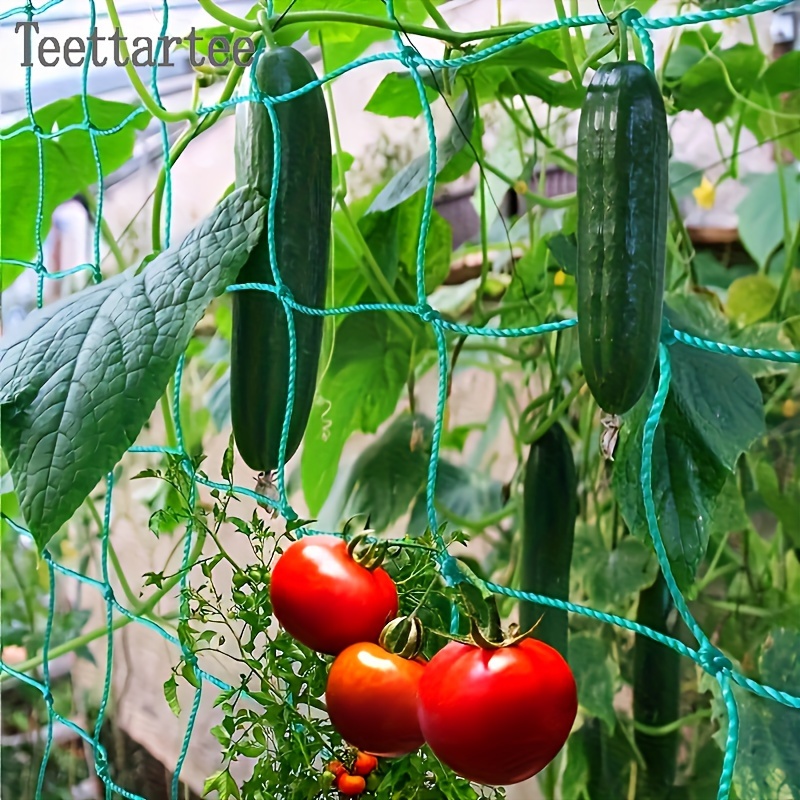 

Un Ensemble De Treillis De Jardinage Vert Pour Plantes Grimpantes, Idéal Pour Les Concombres, Les Melons, Les Chrysanthèmes Et Les Plantes Dans La Cour.