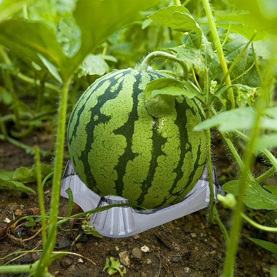 

50-piece Transparent Pet Plastic Fruit & Vegetable Support Trays - Watermelon, Cantaloupe & More - Durable Garden Planting Stands