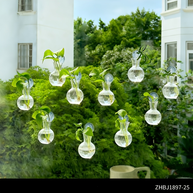 TEMU Station de propagation de plantes pour fenêtre 10/12 pièces avec système de suspension à ventouse - clous, convient et , vase en verre/PET pour