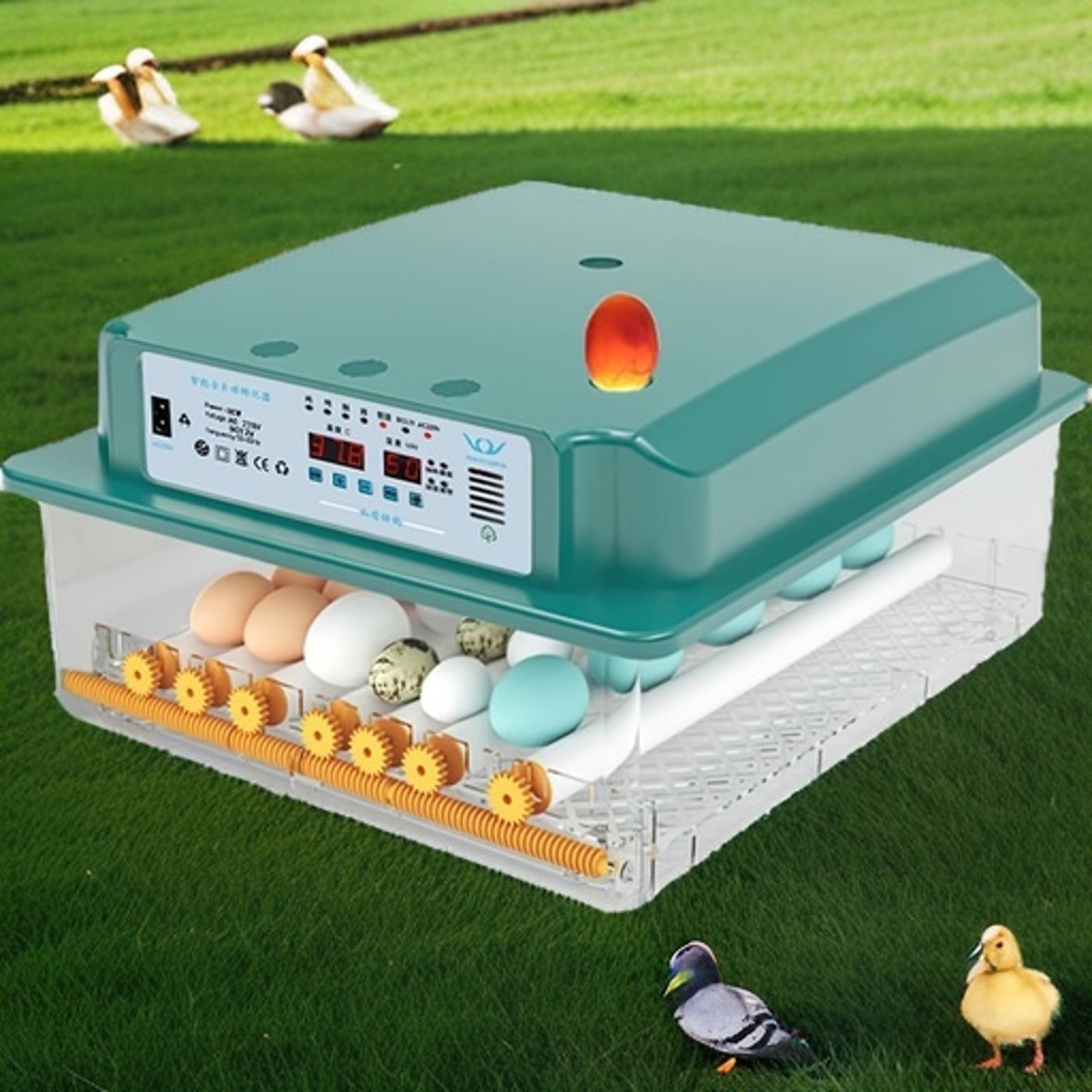 Automatic Incubator 36 Eggs Fully Automatic Poultry Machine With Temperature Control