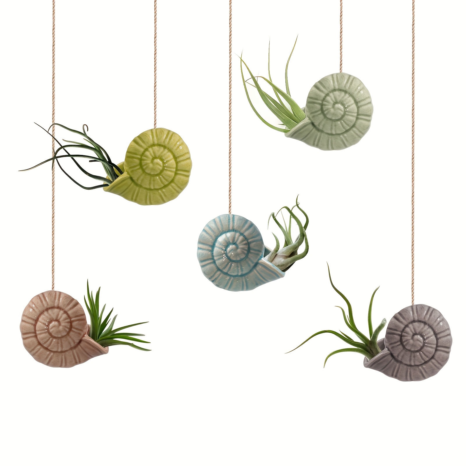 5-pack Snail Air Plant Holder Unique, Cute Plant Hanger Airplants Holders