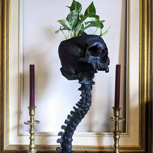 1pc calavera de resina para de halloween, jardín, espalda, de flores, adorno, estatua 11.2×4.33×5.51×2.76×3.94