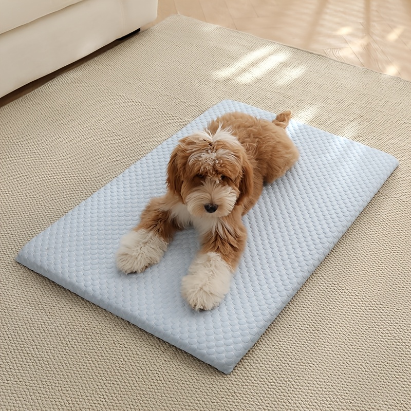 TEMU Panier pour Chien, Lit pour Animaux avec Rembourrage en Éponge, Tapis Antidérapant Lavable pour Chiens Moyens et et Chats