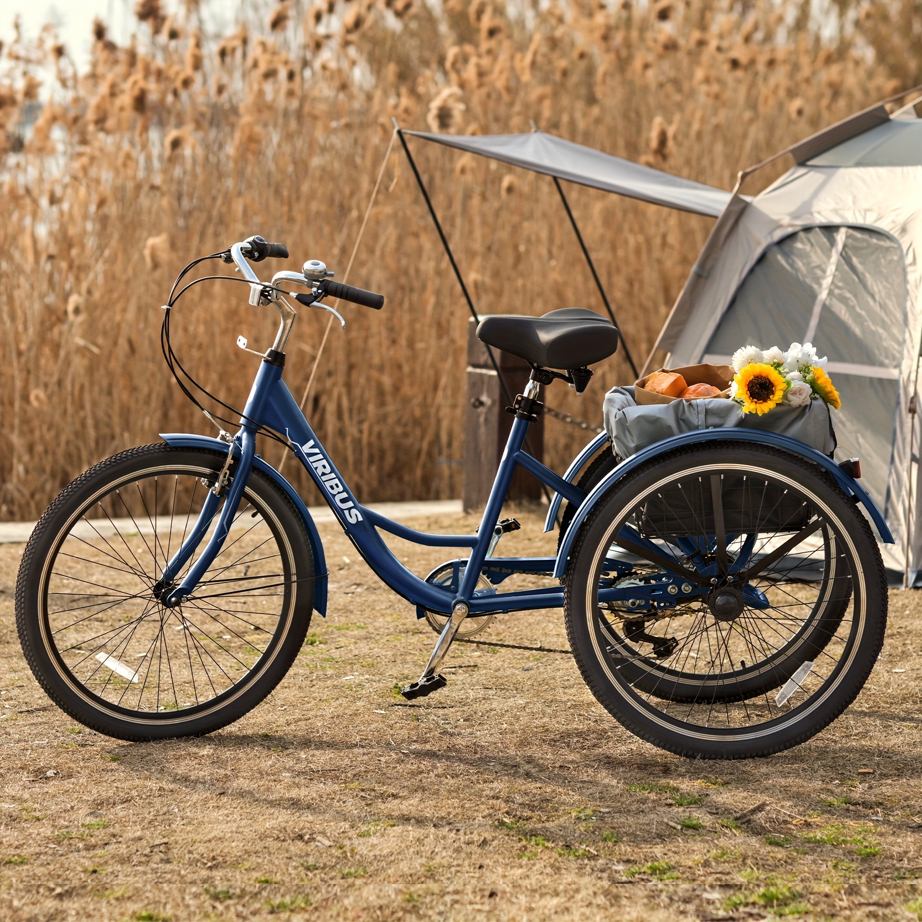 Tricycle Bike sold on Temu United States