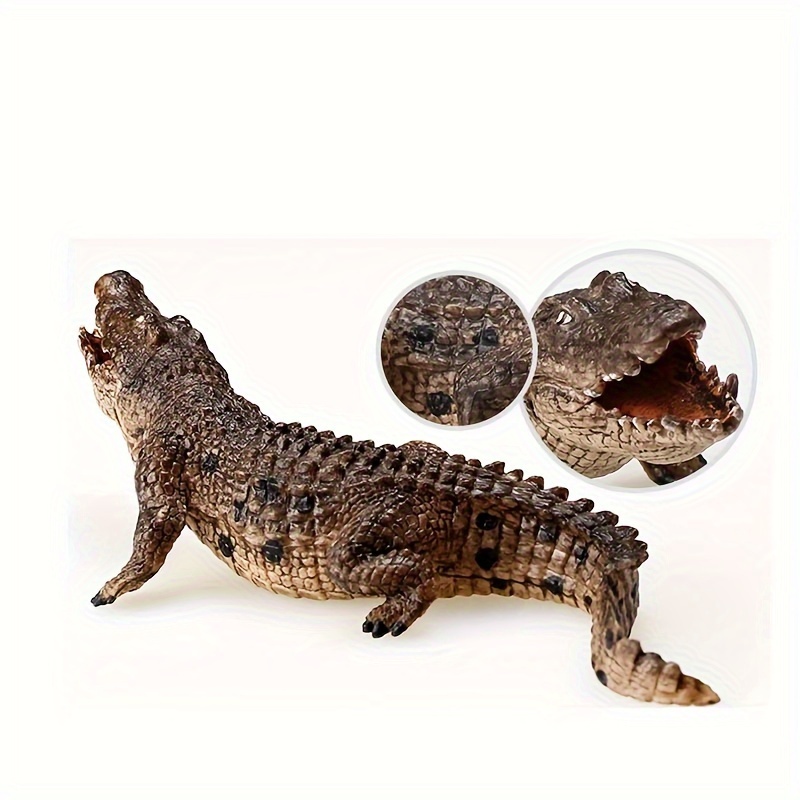 Crocodile reptile hot sale or amphibian