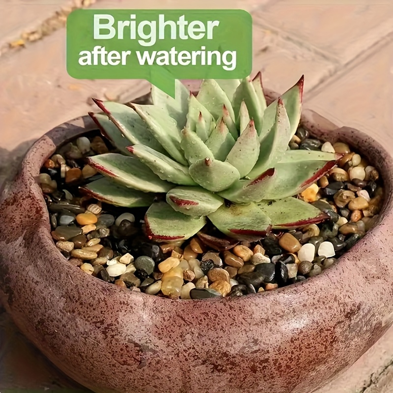 1000g/500g/300g/200g/100g Piedras de Arroyo - Guijarros y Grava Mixtos, Adecuados para Paisajismo de Acuarios, Decoración de Jardines, Relleno de Jarrones - Piedras Decorativas Multicolor para Interior/Exterior, Rocas Decorativas para Acuarios, Decoración de Interiores, Piezas Decorativas