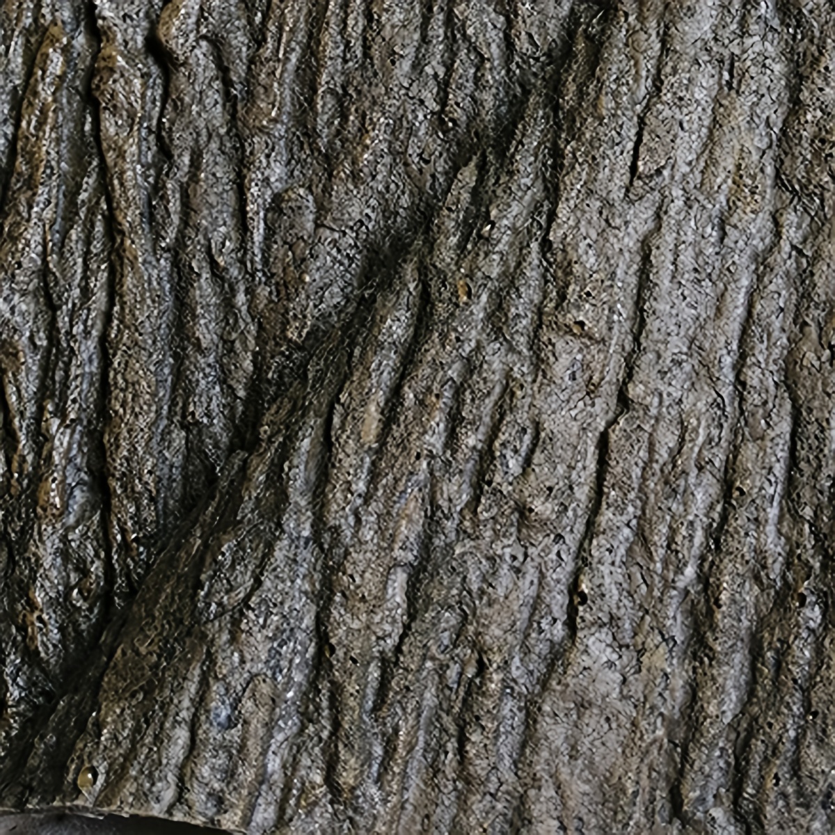 Realistic Bark Background for Animal Habitats