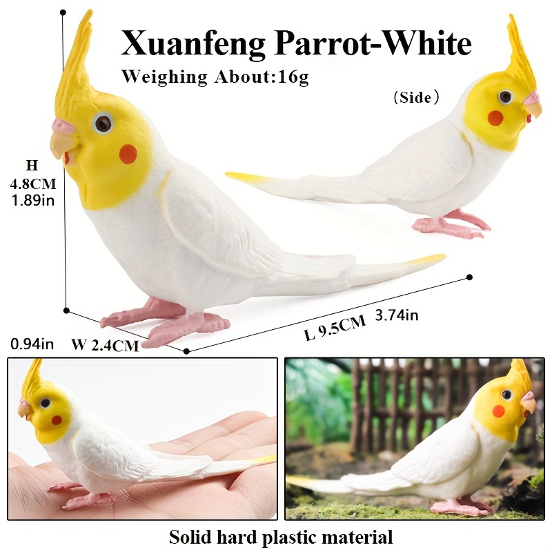 1pc realistic parrot model educational science toy Temu United